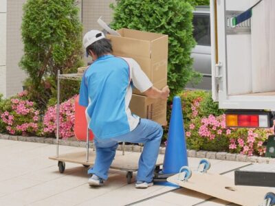 541280_m (1) 541280 M (1)